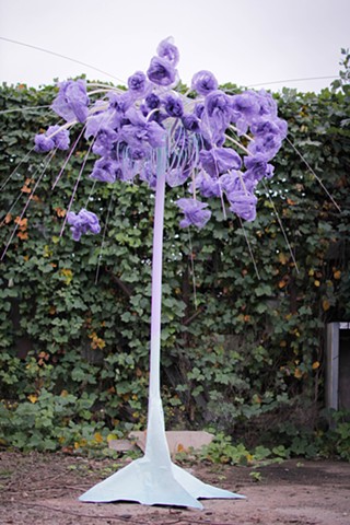 Dandelion Tall