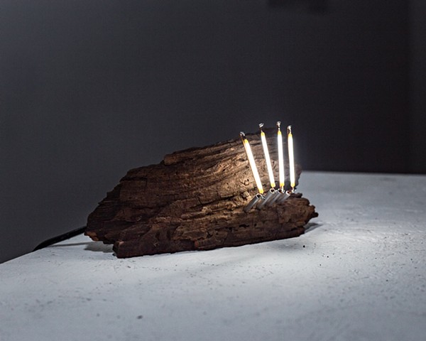 Ants On A Log