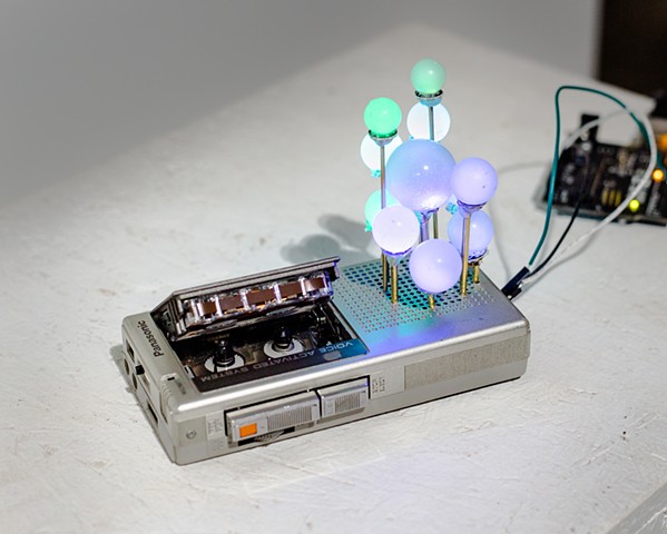 Micro Cassette Forest