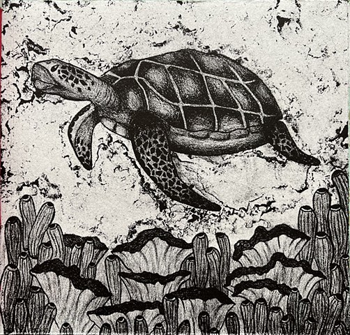 Sea Turtle
