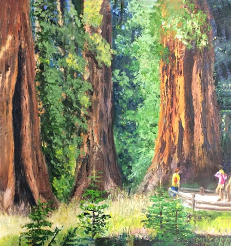 Redwoods