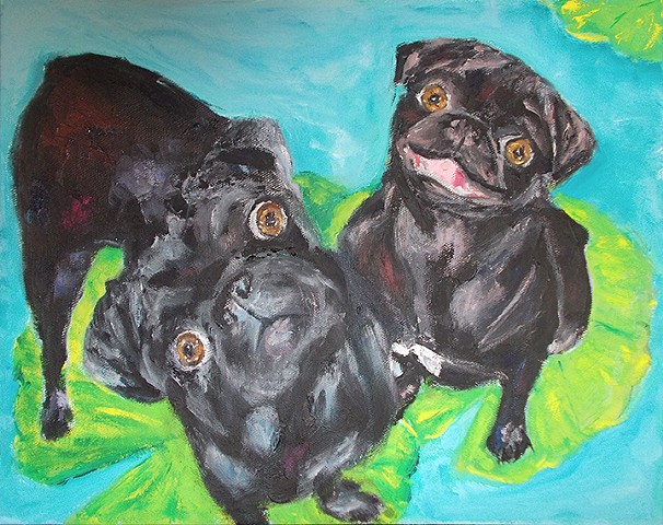 Pugs