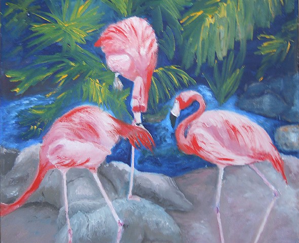 Flamingoes