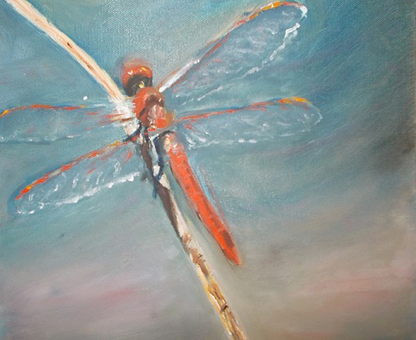 Dragonfly