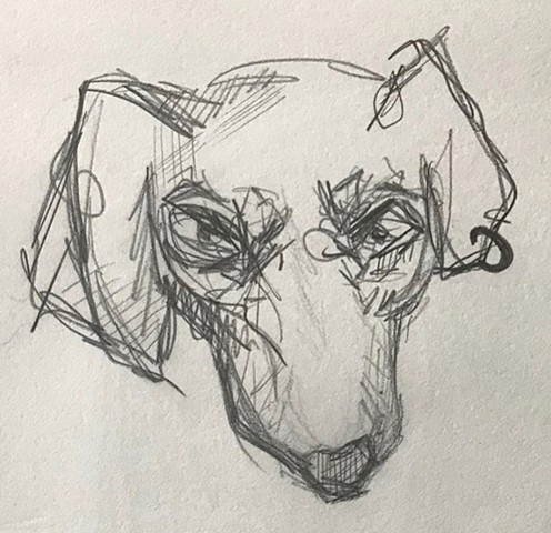 dogg