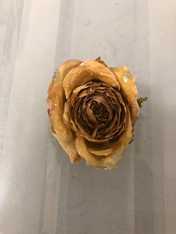 Cured Resin on Flower