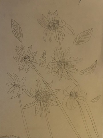 Floral Sketch