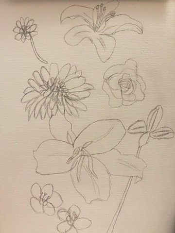 Floral Sketch