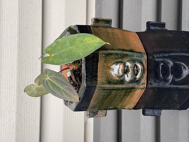 PLANTER