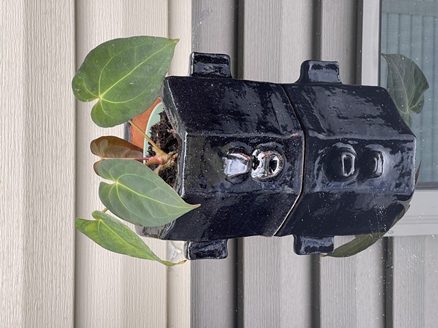 PLANTER