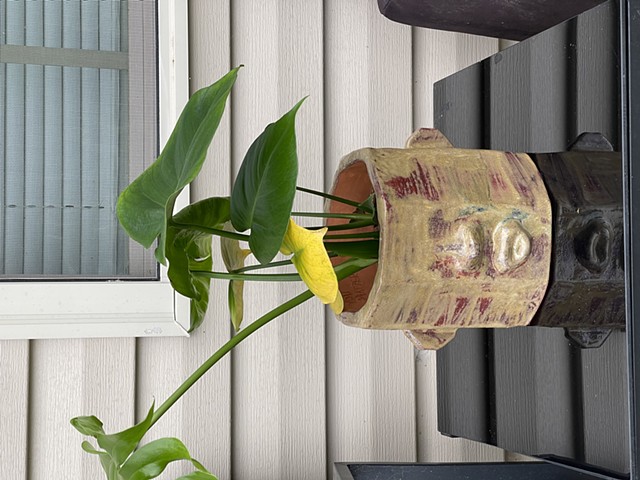 PLANTER