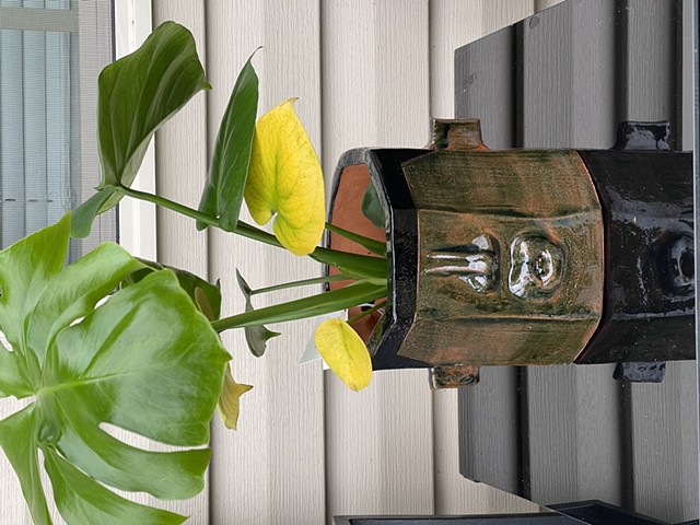 PLANTER
