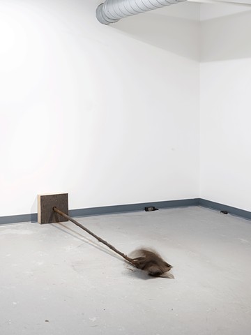 Grief (tap for video)