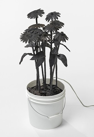 Protest Flowers