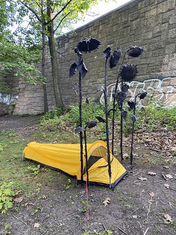 Shelter In Place