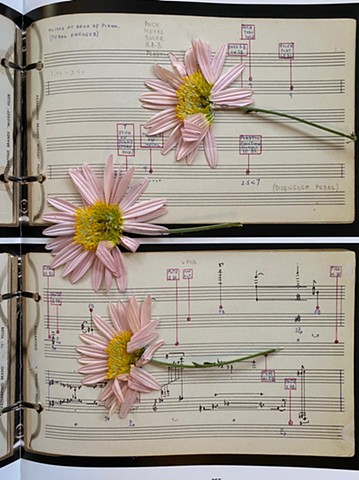 Pressed Flowers in Art Books (Black Mountain College)