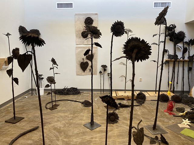 2021-ongoing Sunflowers