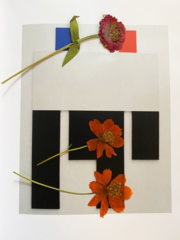 Pressed Flowers in Art Books (Joe Bradley)