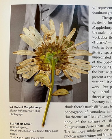 Pressed Flowers in Art Books (Robert Mapplethorpe)