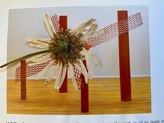 Pressed Flowers in Art Books (Anthony Caro)