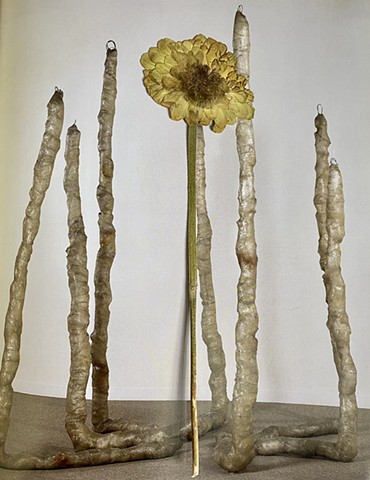 Pressed Flowers in Art Books (Eva Hesse)