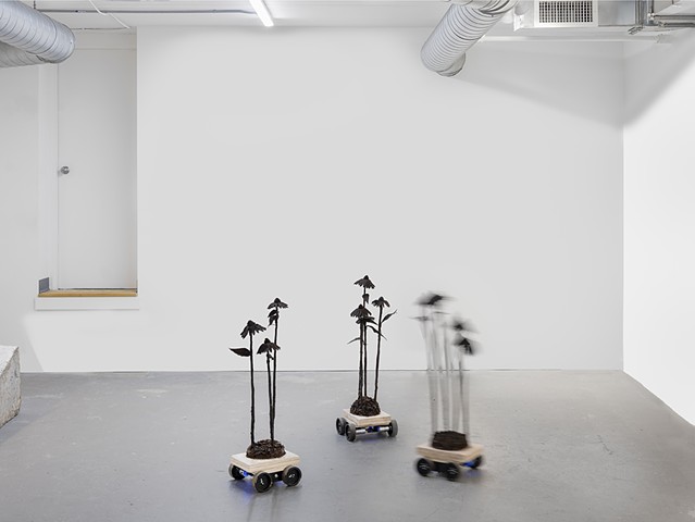 2025 ODD KIN Protest Flowers