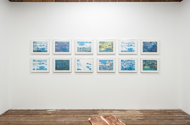 Swimmer's Dilemma, installation view