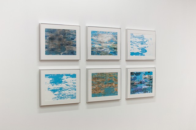 Swimmer's Dilemma, installation view