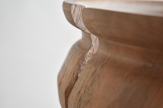 I feed the crows but not the pigeons