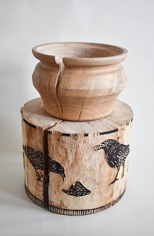 I feed the crows but not the pigeons