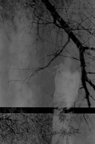 In the seven woods III