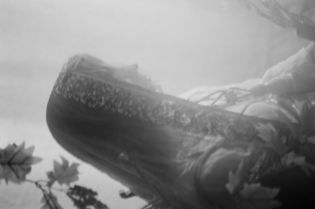 Renaissance painting