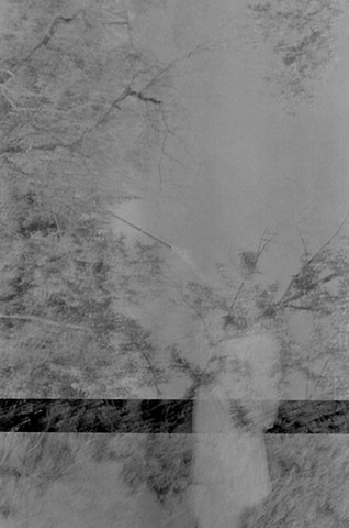 In the seven woods II