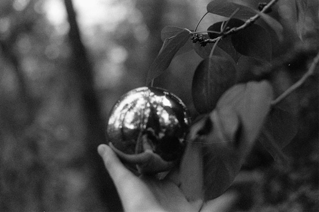 Silver apple