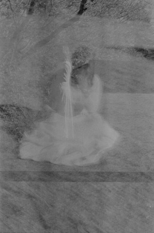 In the seven woods IV