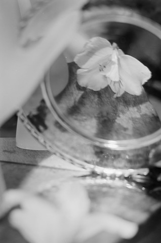 The secret lives of flowers