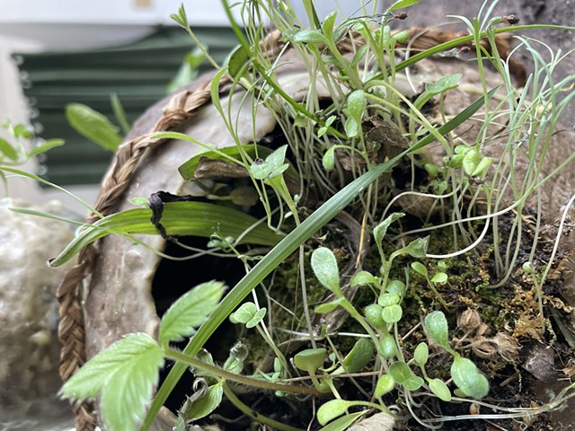 Earthen Vessel #1 (detail)