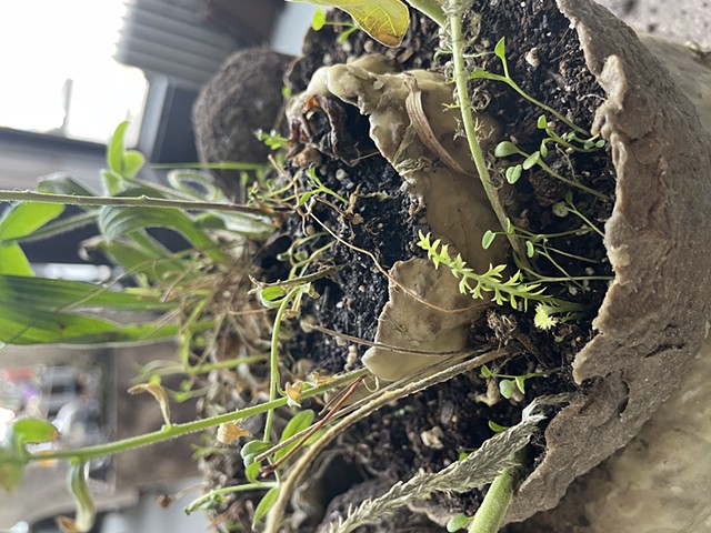 Earthen Vessel #2 (detail)