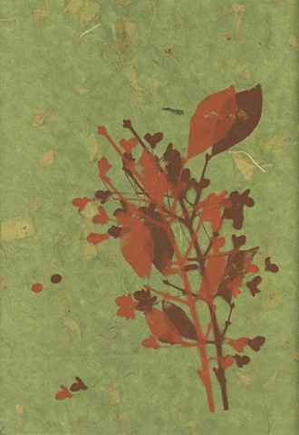 Red on Green