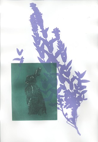 Green on Purple