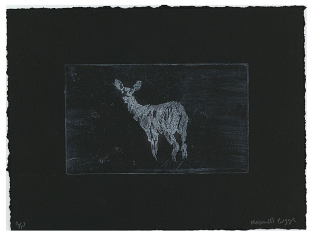 Deer on Black