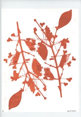 Double Red