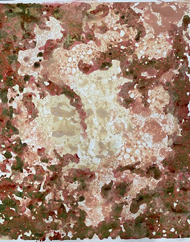 Hyphae