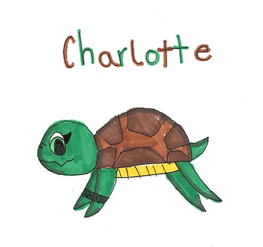 Charlotte Turtle