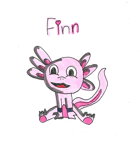 Finn Axolotl