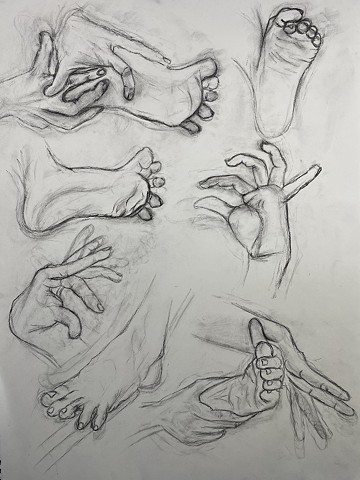 Hands and Feet Study