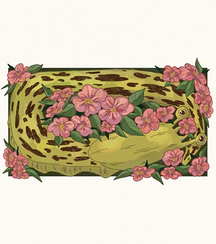 Moggs Drews Illustration 