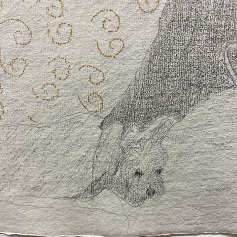 drawings