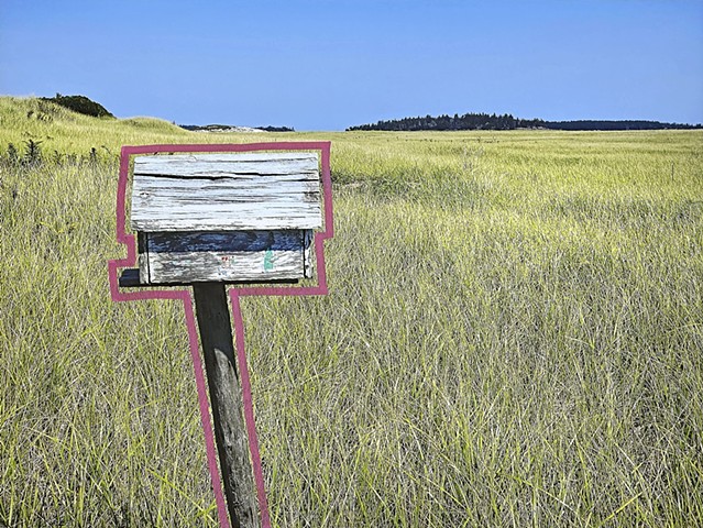 Bird House