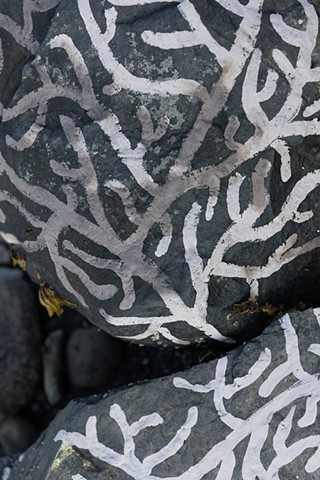 Epilithic - on residency in Woody Point, NL